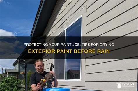 how long for paint to dry before rain